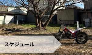 スケジュール